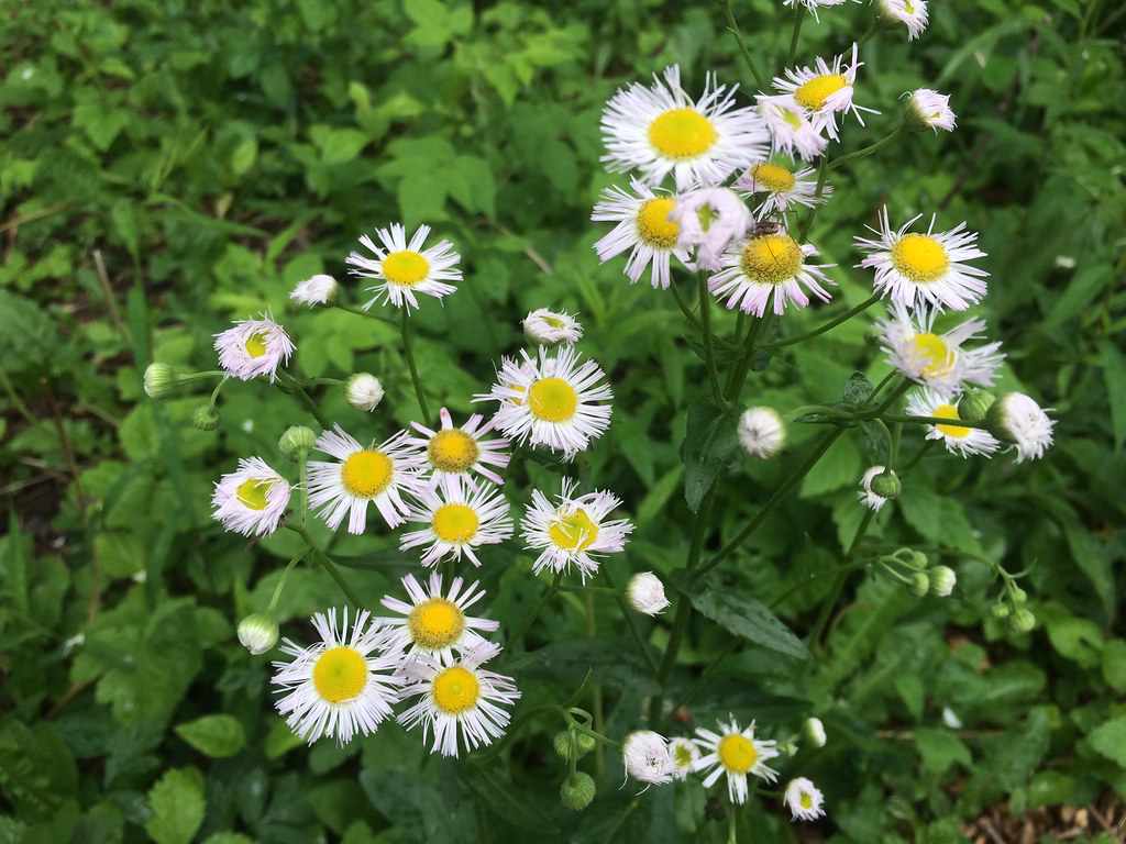 Best Recreational Parks in Mequon, Wisconsin Lisa Franks