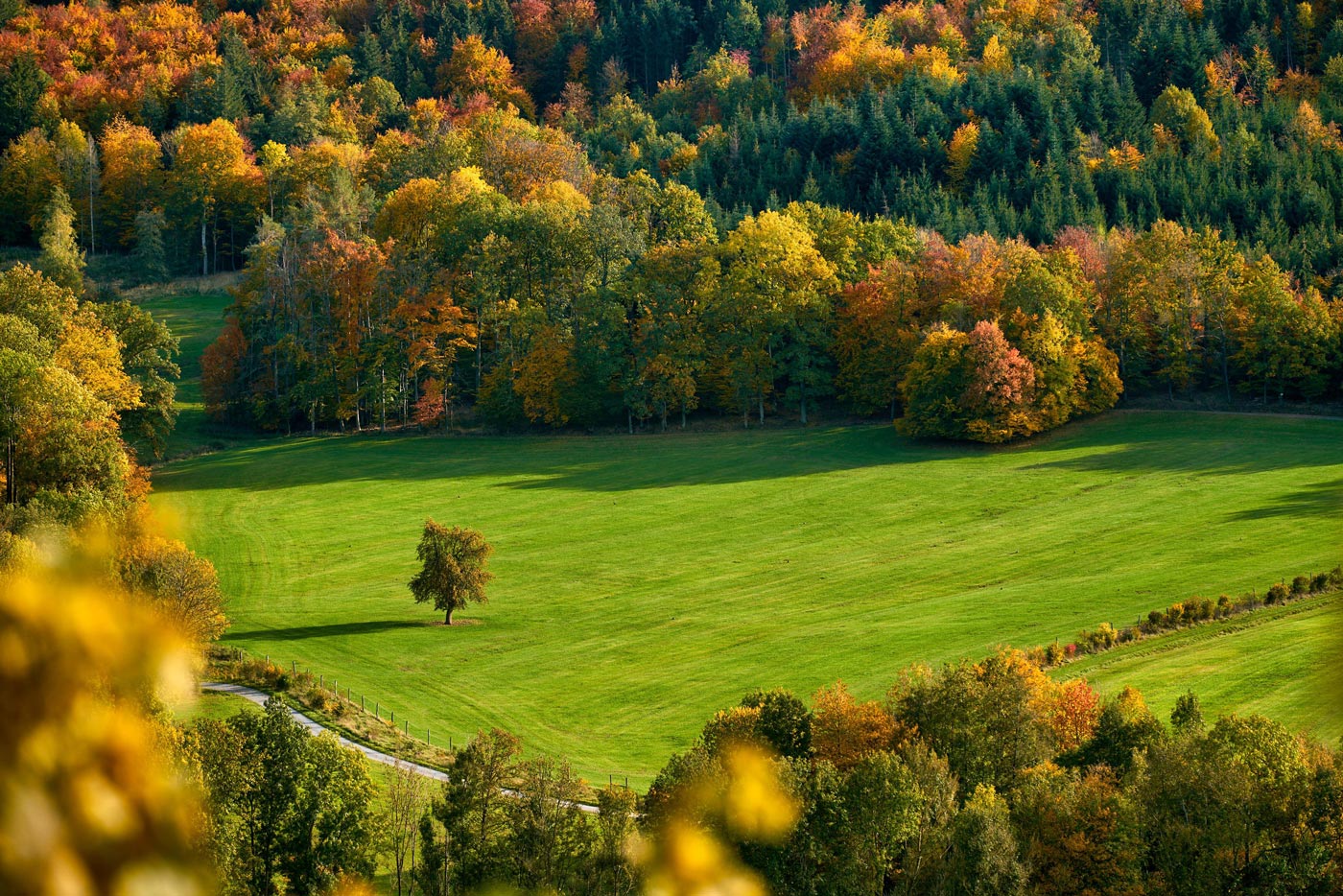 aerial-view-in-fall